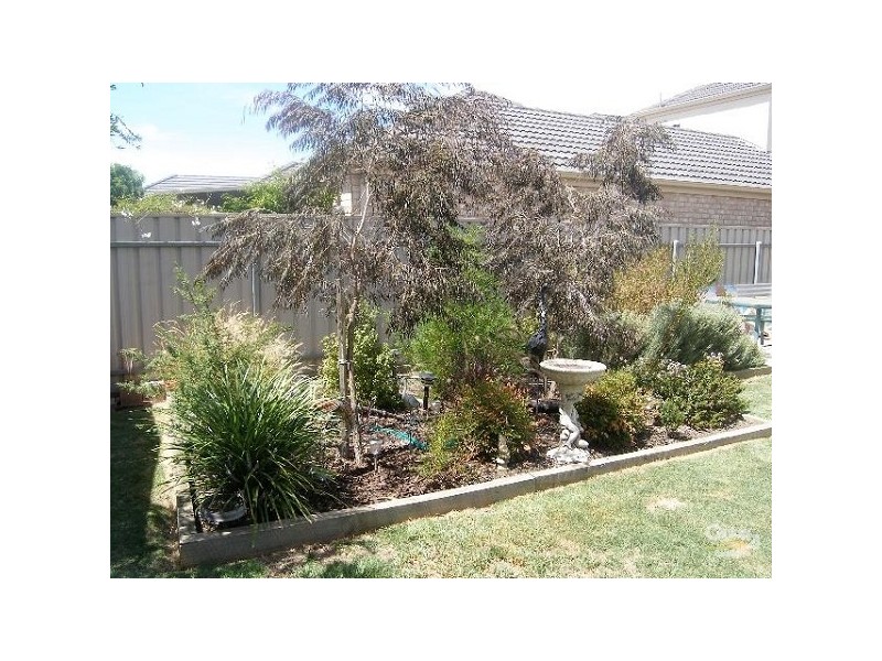 6 Bond Street, Somerton Park SA 5044