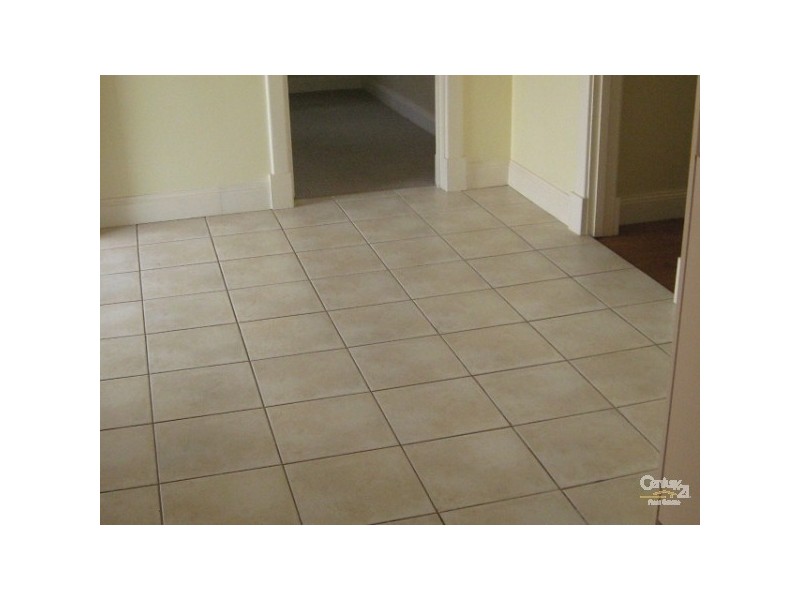 33 Duncan Avenue, Sturt SA 5047