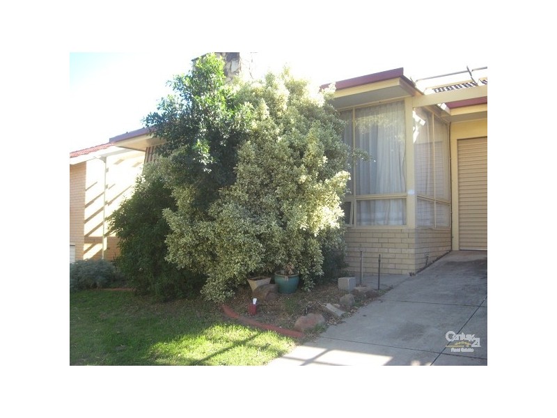 8A ANGOVE ROAD, Somerton Park SA 5044