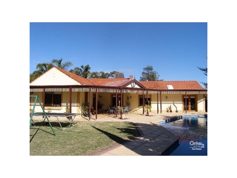 14 Orana Avenue, Glenelg North SA 5045