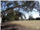 14 Orana Avenue, Glenelg North SA 5045