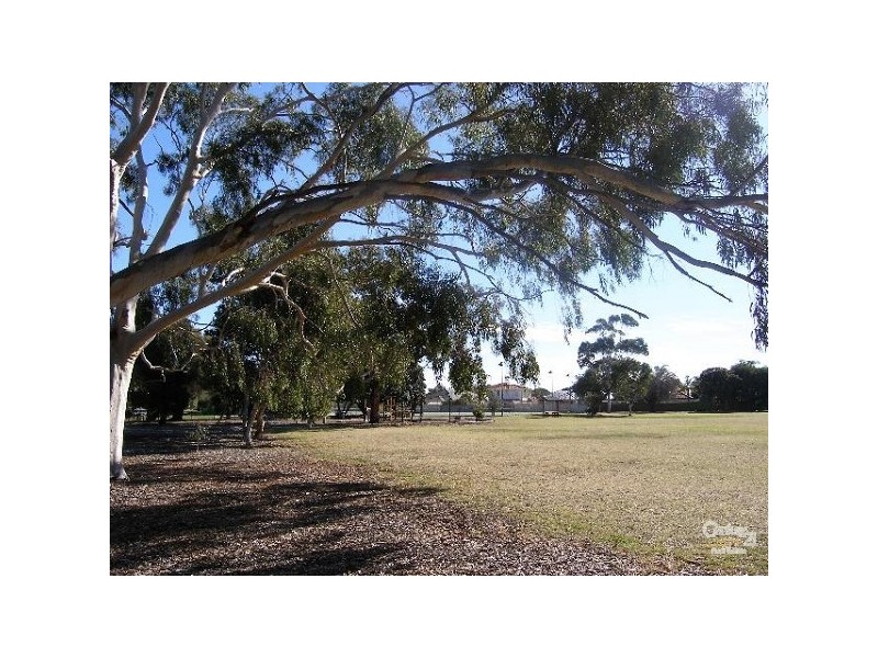 14 Orana Avenue, Glenelg North SA 5045