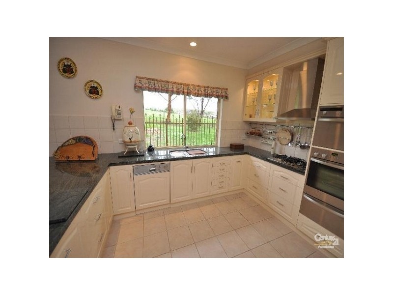 41 Hyland Avenue, Flagstaff Hill SA 5159