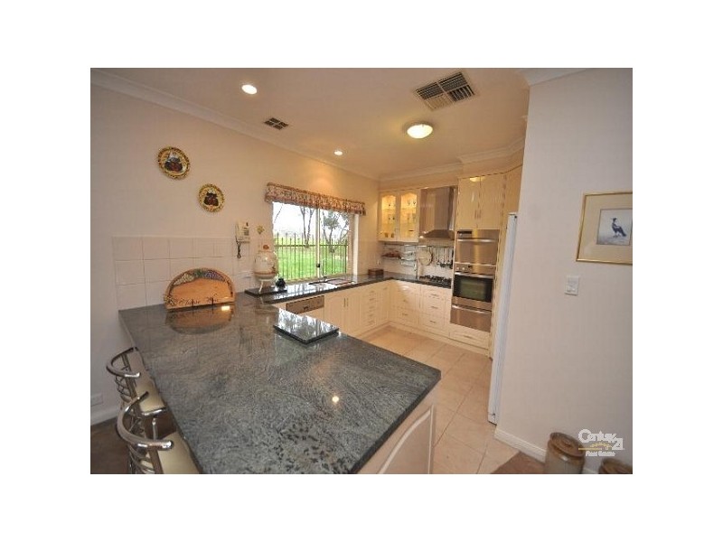 41 Hyland Avenue, Flagstaff Hill SA 5159