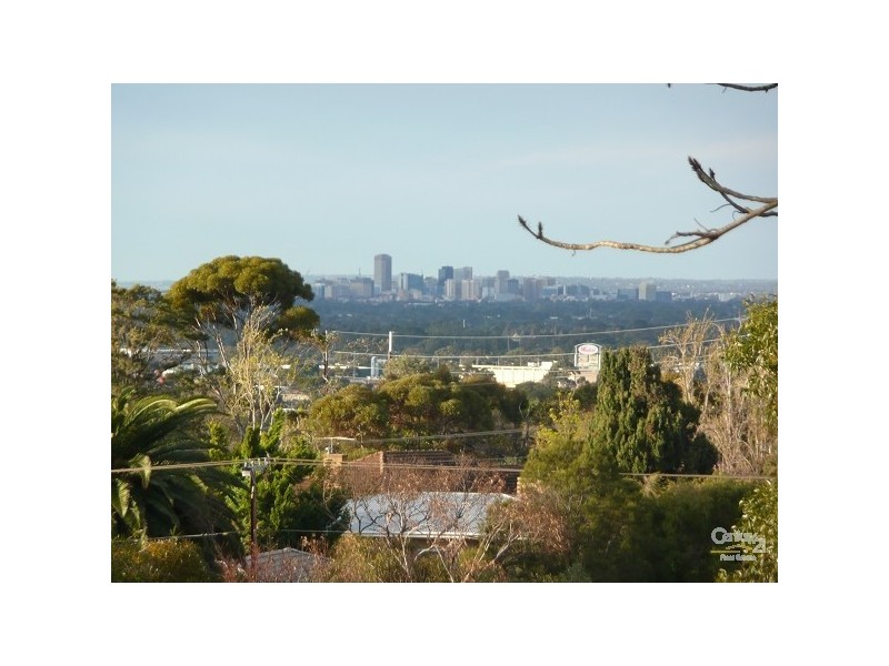 37 Thomas Street, Seacliff Park SA 5049