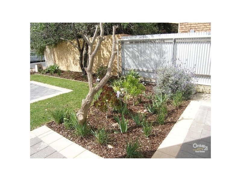 17 Cliff Street, Glenelg East SA 5045