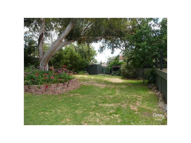 24a Wangary Terrace, Seaview Downs SA 5049