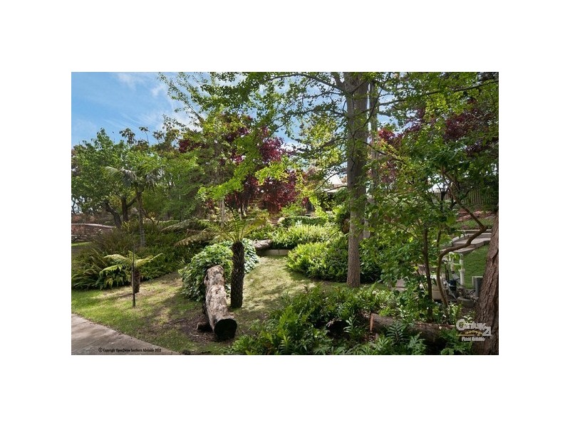 75 Whyte Street, Somerton Park SA 5044