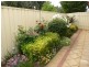 2 Mayfair Avenue, Somerton Park SA 5044