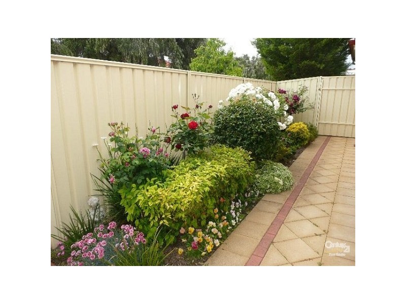 2 Mayfair Avenue, Somerton Park SA 5044