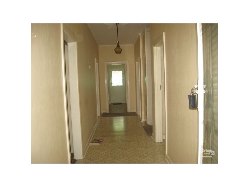 53 BEARE AVENUE, Netley SA 5037