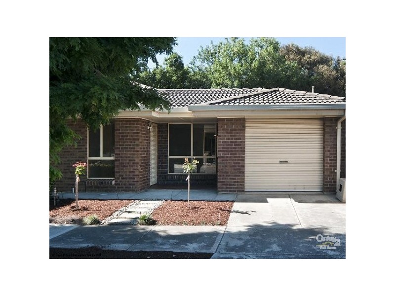13A Herbert Road, Ashford SA 5035