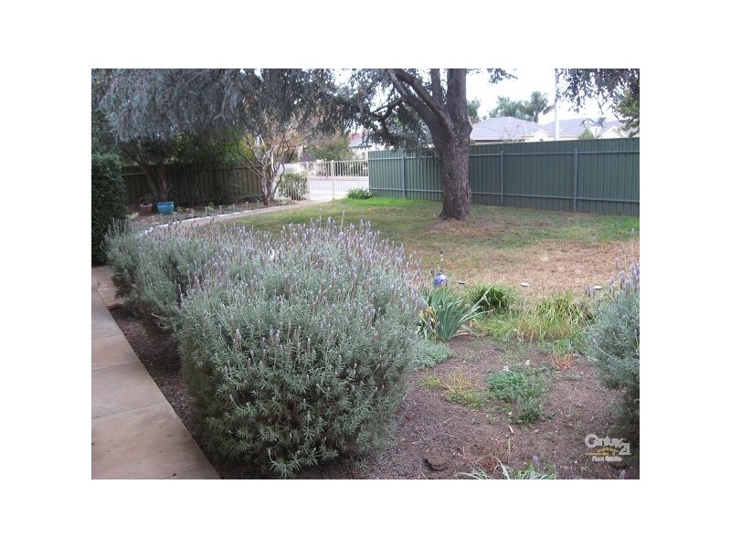 32 GARFIELD AVENUE, Kurralta Park SA 5037
