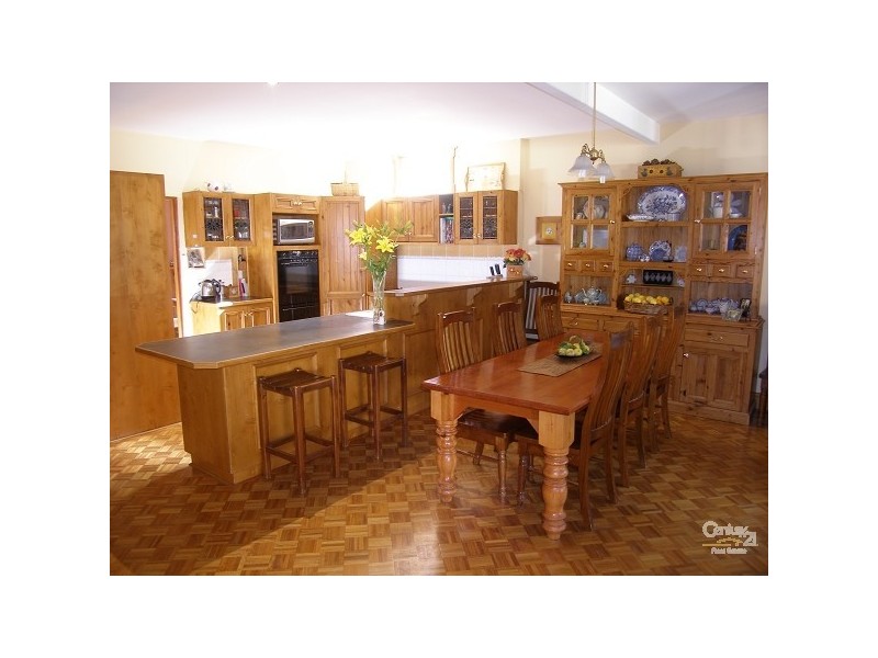 60 Penzance Street, Glenelg South SA 5045