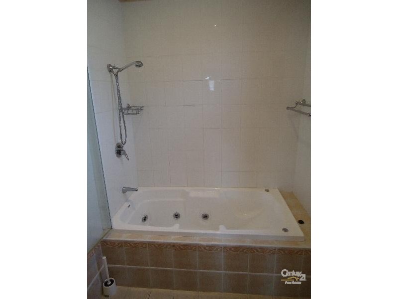 31 Rosetta Street, Collinswood SA 5081