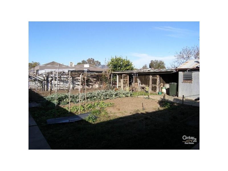 73 White Avenue, Lockleys SA 5032