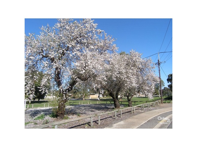 3/5 Ranford Crescent, Mitchell Park SA 5043