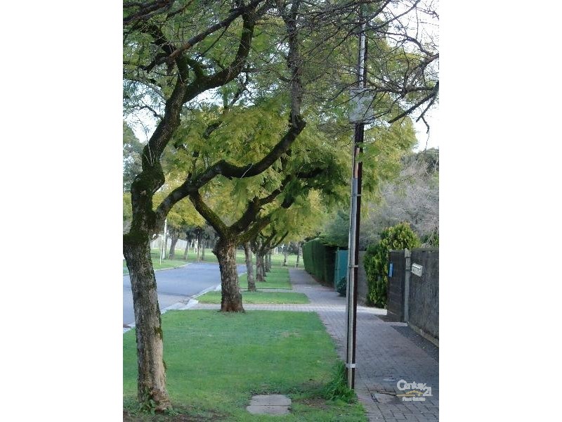 1/15 Peroomba Avenue, Kensington Gardens SA 5068