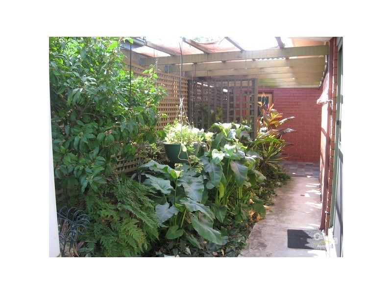 2/16 ETHEL STREET, Forestville SA 5035