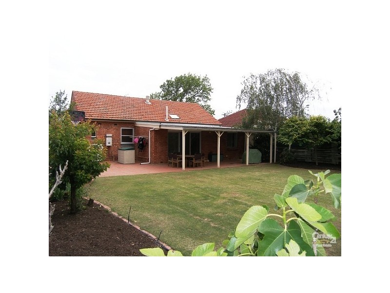 38 Buttrose Street, Glenelg East SA 5045