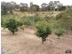 2 Katherine Court, Flagstaff Hill SA 5159