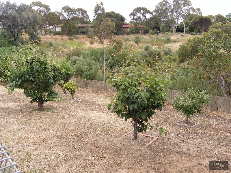 2 Katherine Court, Flagstaff Hill SA 5159