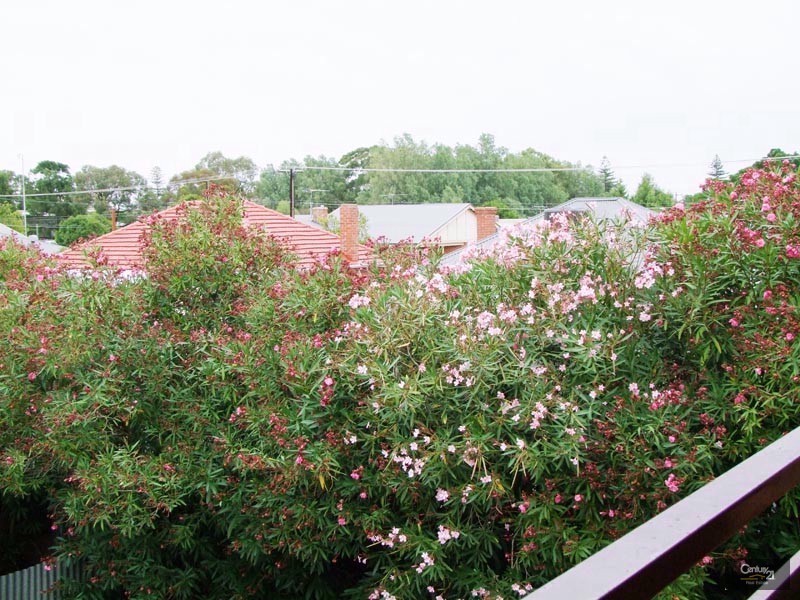 6/3 Leicester Street, Glenelg North SA 5045