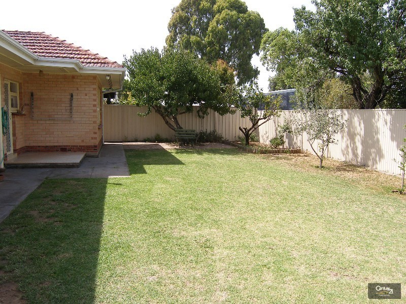 7 Taylor Court, South Plympton SA 5038