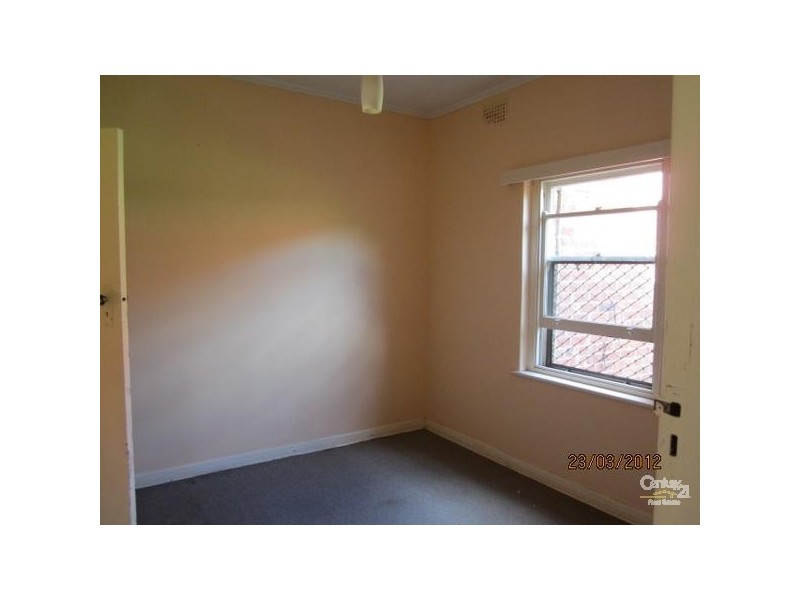 10 TILDEN STREET, Plympton SA 5038