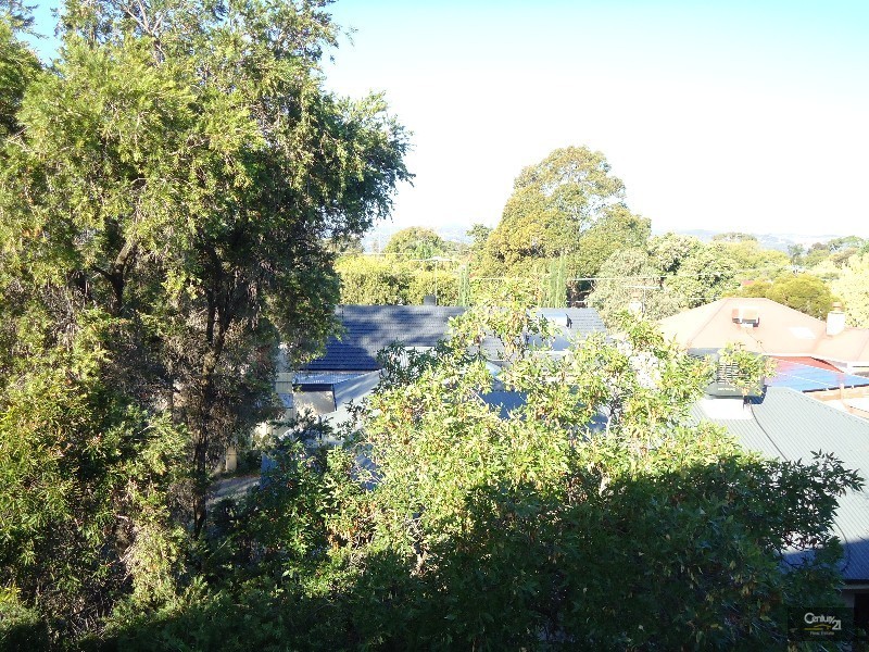 11/21 Laught Avenue, Black Forest SA 5035