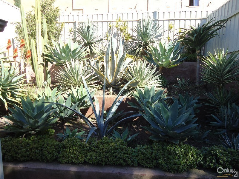 1/13A Richardson Avenue, Glenelg North SA 5045