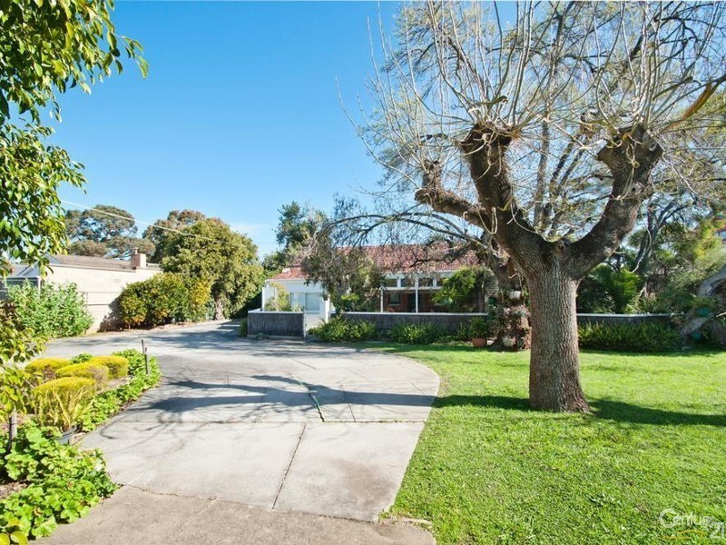 31 Johnstone Road, Oaklands Park SA 5046