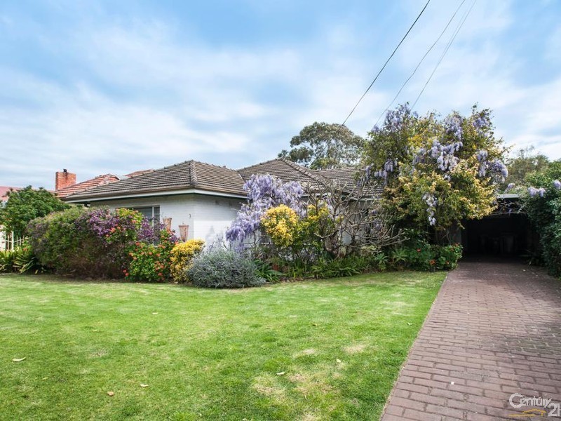 3 Blackler Avenue, Plympton Park SA 5038
