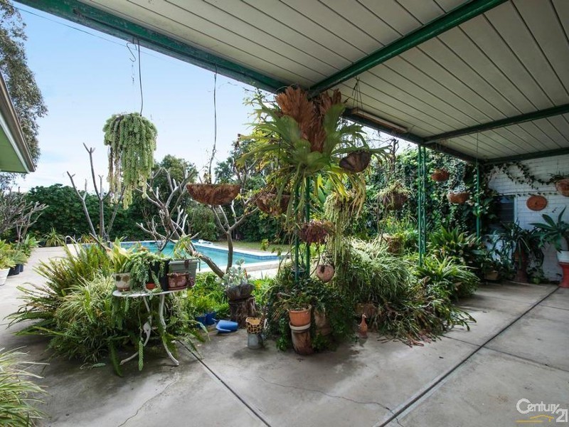 3 Blackler Avenue, Plympton Park SA 5038