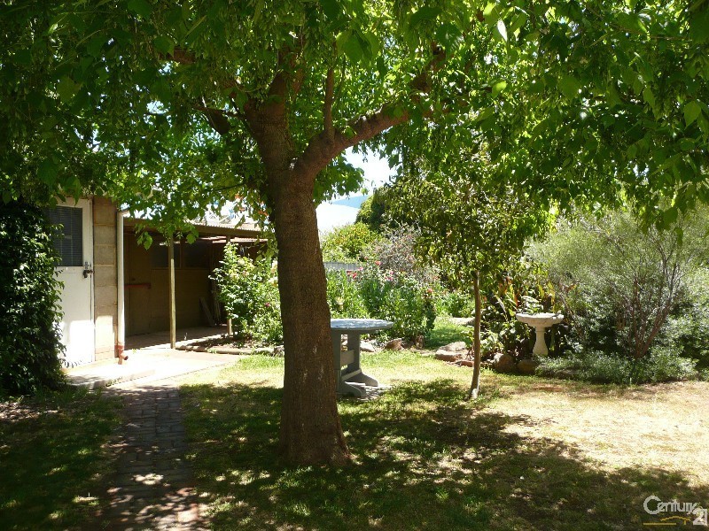 2 Gore Street, Oaklands Park SA 5046