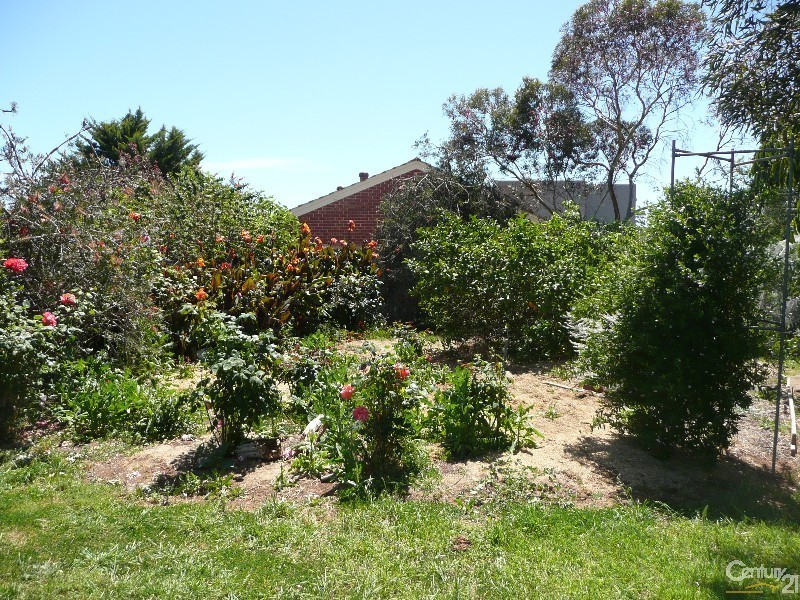 2 Gore Street, Oaklands Park SA 5046