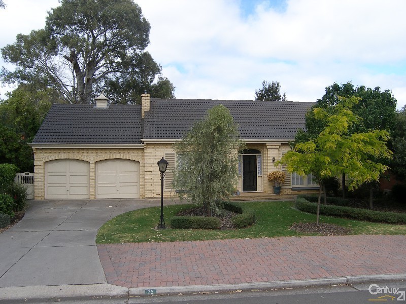 25 Sheoak Avenue, Novar Gardens SA 5040