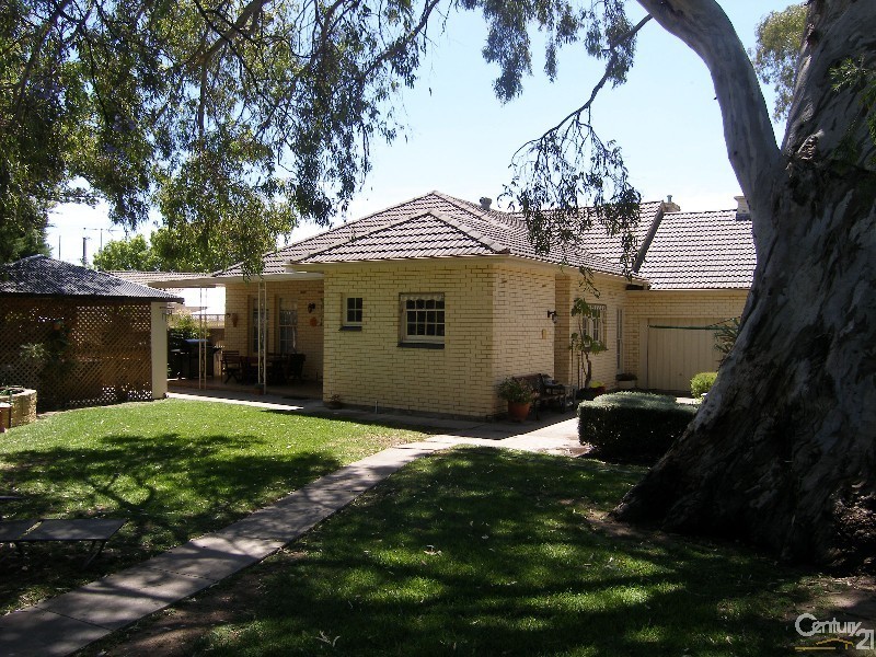 25 Sheoak Avenue, Novar Gardens SA 5040