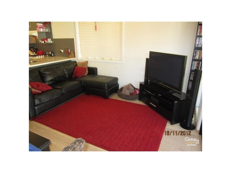 5 BRIAN STREET, Marion SA 5043