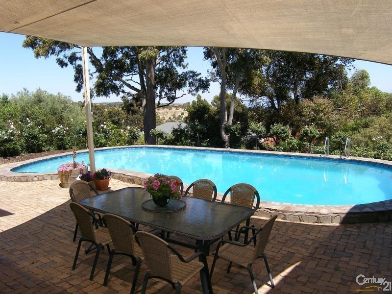 14 College Avenue, Bellevue Heights SA 5050