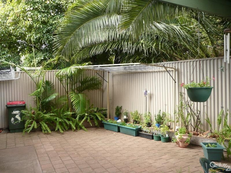 3/2 Maple Avenue, Clovelly Park SA 5042