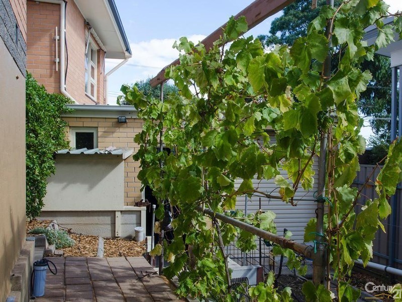 18 Bandon Terrace, Kingston Park SA 5049