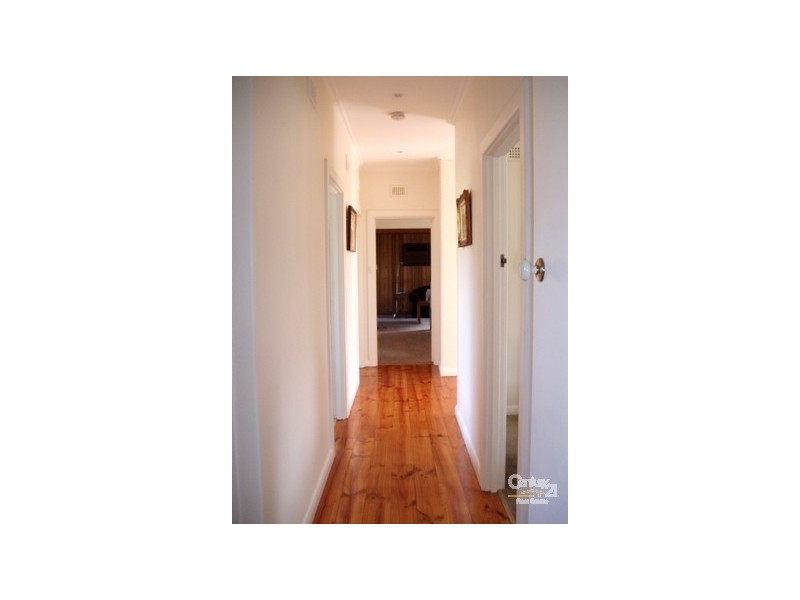 14 Coolah Terrace, Marion SA 5043