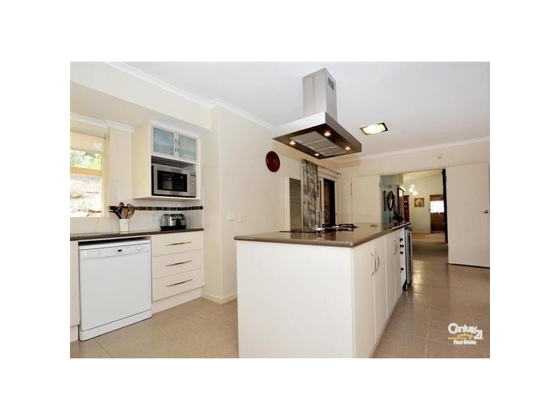19 Renwick Street, Flagstaff Hill SA 5159