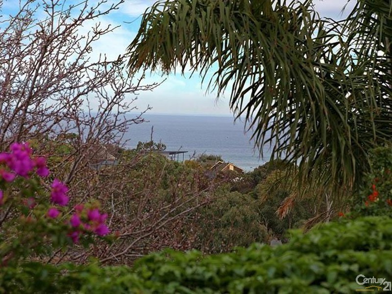 23 John Street, Seacliff Park SA 5049