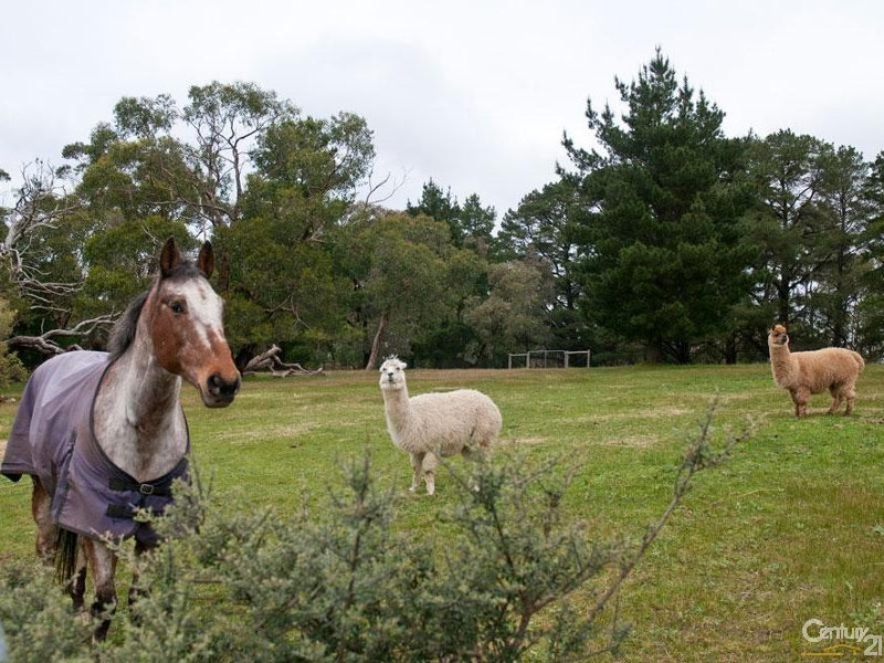 507 Ackland Hill Road, Coromandel East SA 5157