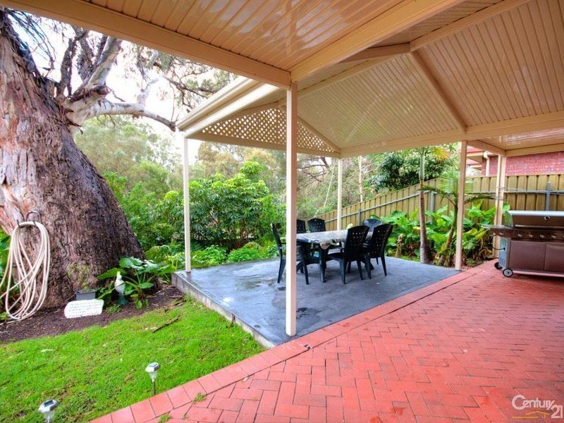 8 Petrel Court, Flagstaff Hill SA 5159