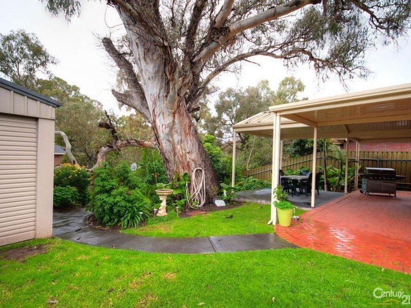 8 Petrel Court, Flagstaff Hill SA 5159