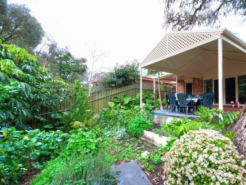 8 Petrel Court, Flagstaff Hill SA 5159