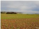 Lot 3 Bowering Hill Road, Port Willunga SA 5173
